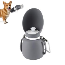 Collapsible Pet Water Bottle for Outdoor Dog Walking