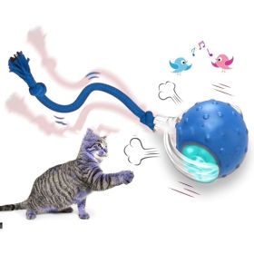 Interactive Cat Toy Ball Super Drive Cat Rolling Ball (Option: The birds call is Blue)